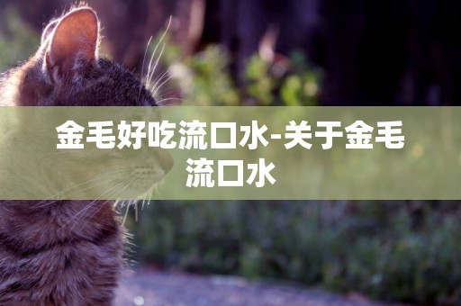 金毛好吃流口水-關于金毛流口水