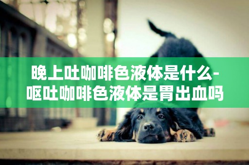 晚上吐咖啡色液體是什么-嘔吐咖啡色液體是胃出血嗎