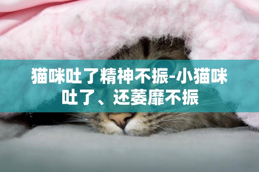 貓咪吐了精神不振-小貓咪吐了、還萎靡不振