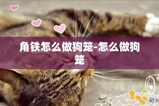 角鐵怎么做狗籠-怎么做狗籠 角鐵怎么做狗籠-怎么做狗籠
