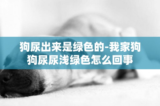 狗尿出來是綠色的-我家狗狗尿尿淺綠色怎么回事