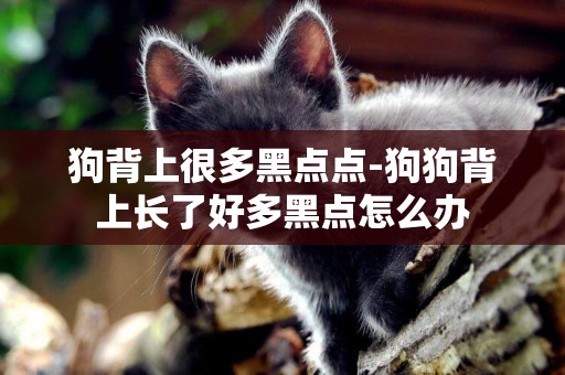 狗背上很多黑點點-狗狗背上長了好多黑點怎么辦