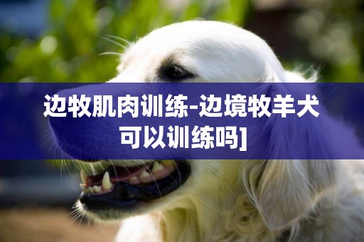 邊牧肌肉訓練-邊境牧羊犬可以訓練嗎]