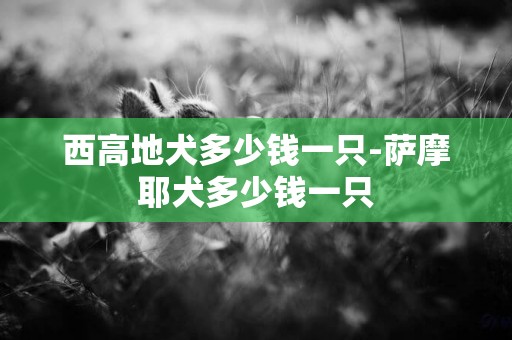 西高地犬多少錢一只-薩摩耶犬多少錢一只