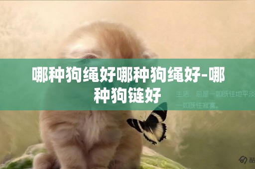 哪種狗繩好哪種狗繩好-哪種狗鏈好
