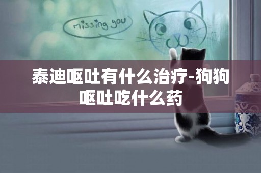 泰迪嘔吐有什么治療-狗狗嘔吐吃什么藥