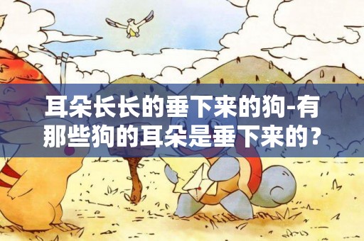 耳朵長長的垂下來的狗-有那些狗的耳朵是垂下來的？