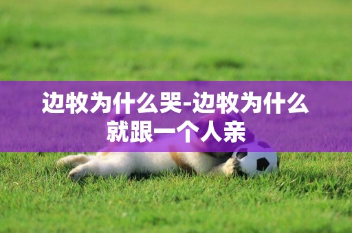 邊牧為什么哭-邊牧為什么就跟一個人親