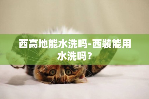 西高地能水洗嗎-西裝能用水洗嗎？
