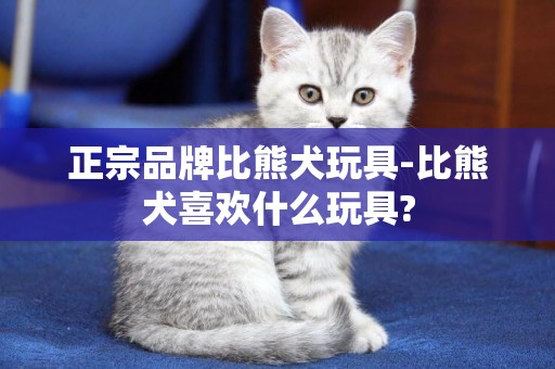 正宗品牌比熊犬玩具-比熊犬喜歡什么玩具?