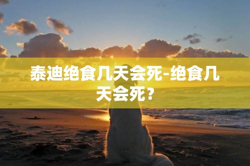 泰迪絕食幾天會死-絕食幾天會死？
