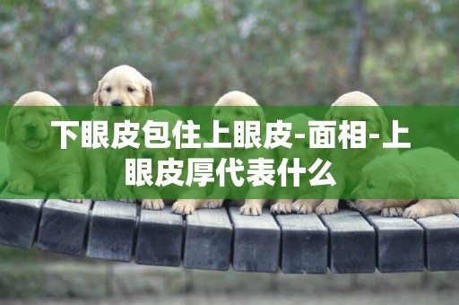 下眼皮包住上眼皮-面相-上眼皮厚代表什么