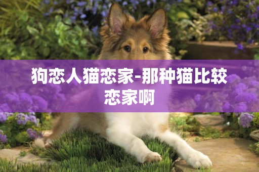 狗戀人貓戀家-那種貓比較戀家啊