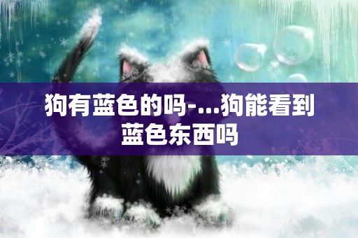 狗有藍色的嗎-...狗能看到藍色東西嗎