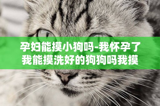孕婦能摸小狗嗎-我懷孕了我能摸洗好的狗狗嗎我摸