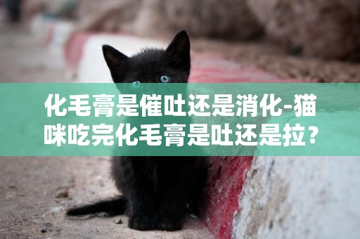 化毛膏是催吐還是消化-貓咪吃完化毛膏是吐還是拉？