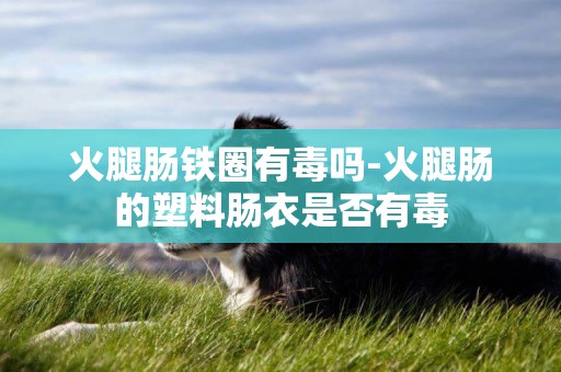 火腿腸鐵圈有毒嗎-火腿腸的塑料腸衣是否有毒