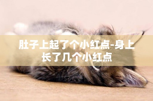 肚子上起了個小紅點-身上長了幾個小紅點