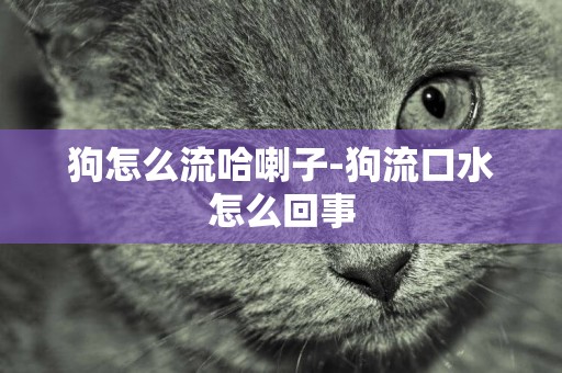 狗怎么流哈喇子-狗流口水怎么回事