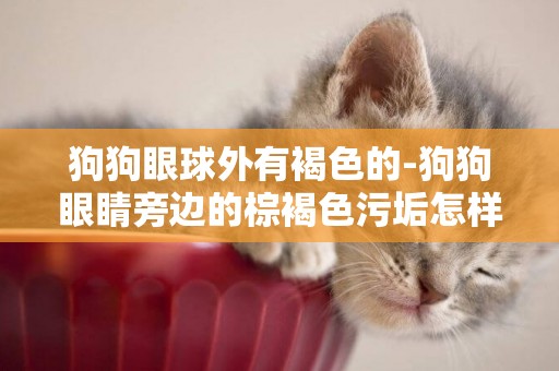 狗狗眼球外有褐色的-狗狗眼睛旁邊的棕褐色污垢怎樣洗掉？