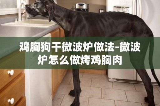 雞胸狗干微波爐做法-微波爐怎么做烤雞胸肉