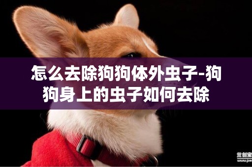 怎么去除狗狗體外蟲子-狗狗身上的蟲子如何去除