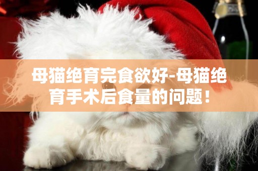 母貓絕育完食欲好-母貓絕育手術后食量的問題！