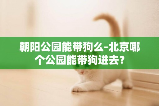 朝陽公園能帶狗么-北京哪個公園能帶狗進去？