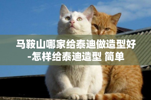 馬鞍山哪家給泰迪做造型好-怎樣給泰迪造型 簡單