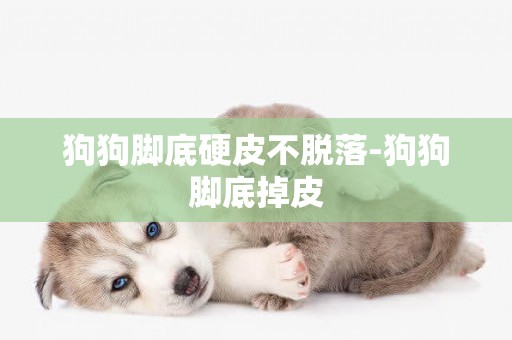狗狗腳底硬皮不脫落-狗狗腳底掉皮