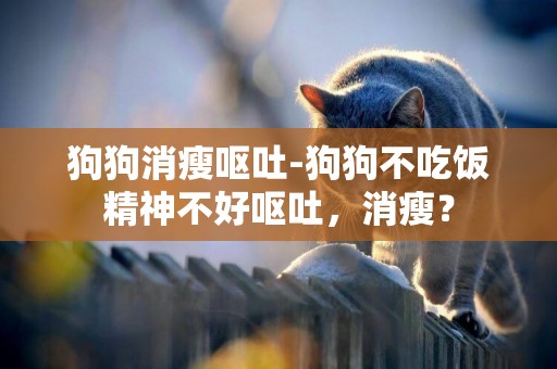 狗狗消瘦嘔吐-狗狗不吃飯精神不好嘔吐，消瘦？
