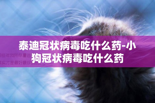 泰迪冠狀病毒吃什么藥-小狗冠狀病毒吃什么藥