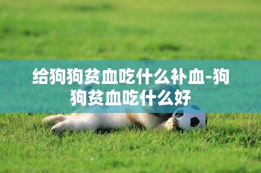 給狗狗貧血吃什么補血-狗狗貧血吃什么好