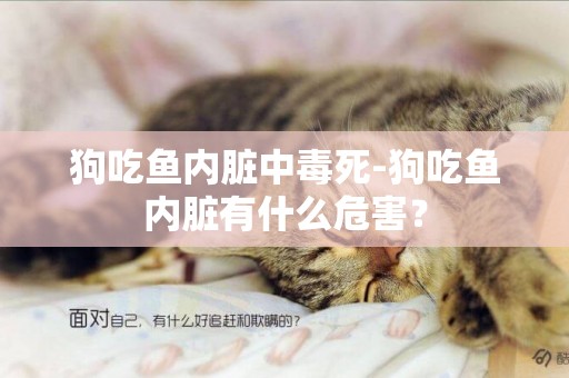 狗吃魚內臟中毒死-狗吃魚內臟有什么危害？