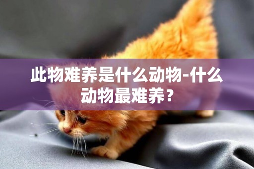 此物難養是什么動物-什么動物最難養？