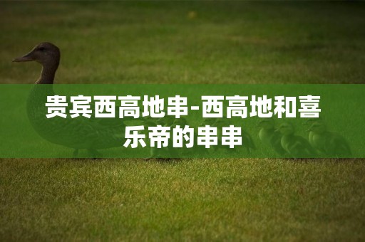 貴賓西高地串-西高地和喜樂帝的串串