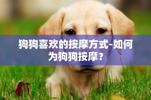 狗狗喜歡的按摩方式-如何為狗狗按摩？