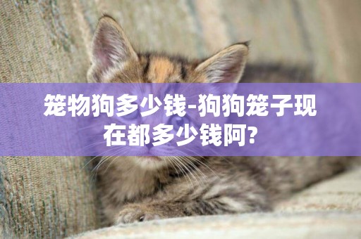籠物狗多少錢-狗狗籠子現在都多少錢阿?