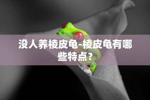 沒人養棱皮龜-棱皮龜有哪些特點？