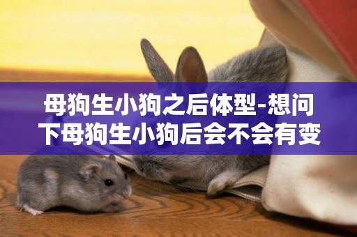 母狗生小狗之后體型-想問下母狗生小狗后會不會有變化，是性格的變化？還是會影響它的毛量？我的狗現在長的