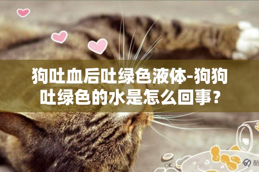 狗吐血后吐綠色液體-狗狗吐綠色的水是怎么回事？