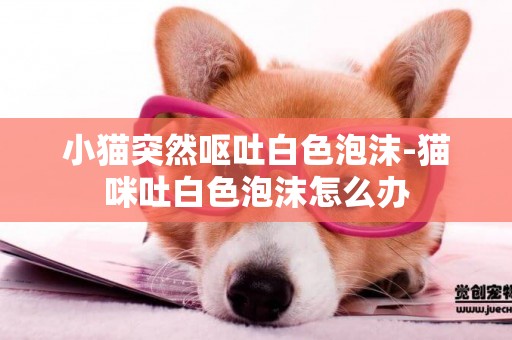 小貓突然嘔吐白色泡沫-貓咪吐白色泡沫怎么辦
