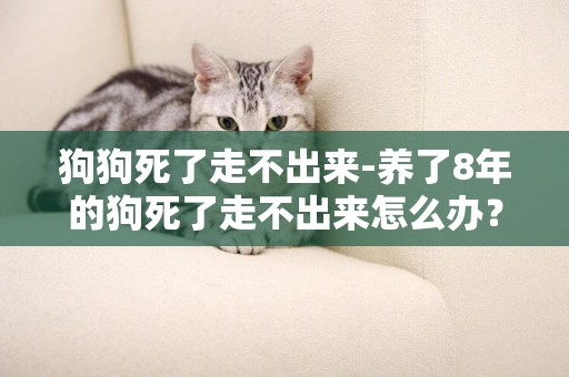 狗狗死了走不出來-養了8年的狗死了走不出來怎么辦？