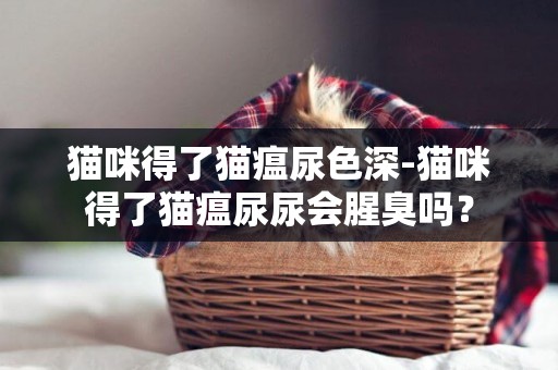 貓咪得了貓瘟尿色深-貓咪得了貓瘟尿尿會腥臭嗎？
