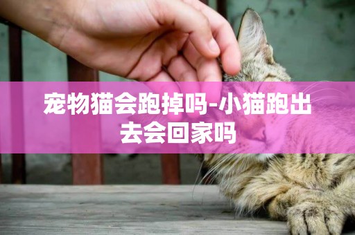 寵物貓會跑掉嗎-小貓跑出去會回家嗎