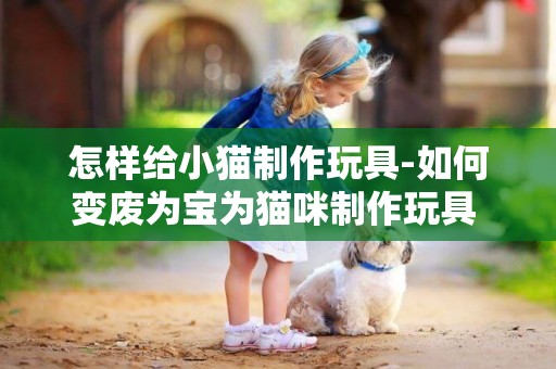 怎樣給小貓制作玩具-如何變廢為寶為貓咪制作玩具 ？