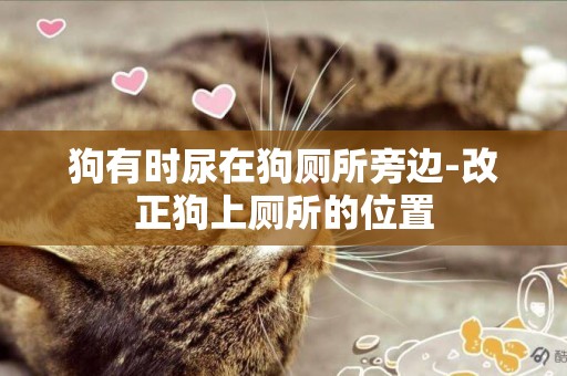 狗有時尿在狗廁所旁邊-改正狗上廁所的位置