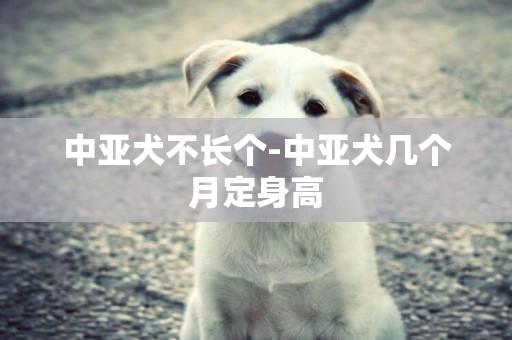 中亞犬不長個-中亞犬幾個月定身高