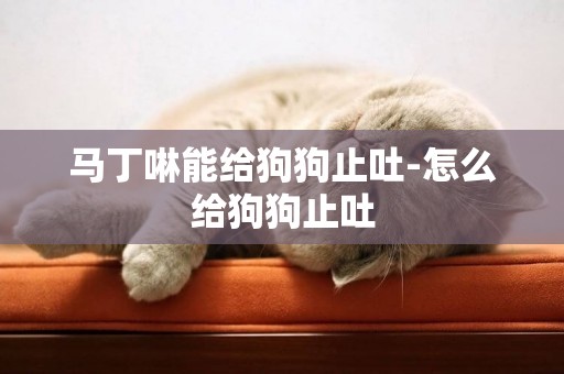 馬丁啉能給狗狗止吐-怎么給狗狗止吐