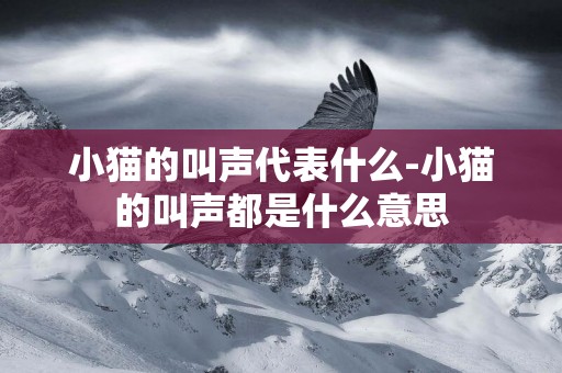 小貓的叫聲代表什么-小貓的叫聲都是什么意思